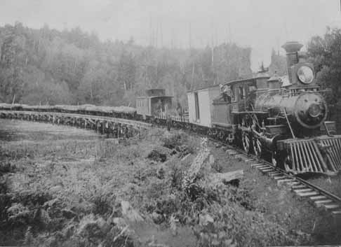 logging train