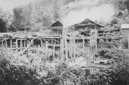 Johnson's sawmill