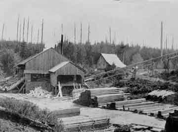 McCann sawmill
